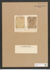 Diatomeae indet. (de-Toni-Nr.: Species 1812 var. ?) Zeichnungen Sammlung Grunow Nr. 3711 (NHMW-BOT-W0371343)
